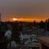 cnoble_392
